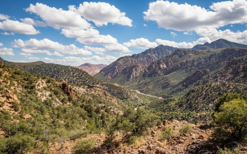 Best Tub To Shower Conversion pros in Vail, AZ