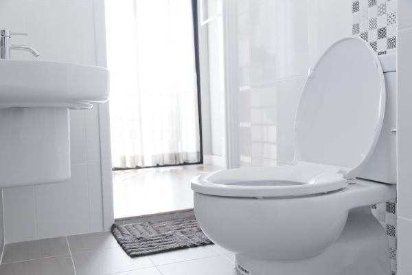 Cost of Toilet Relocation in Marana